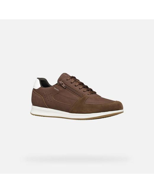 Geox Brown Avery for men