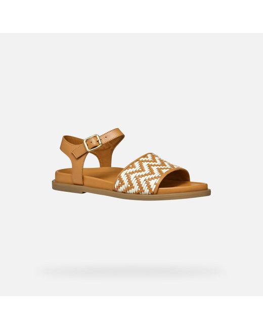 Geox Brown Adelash