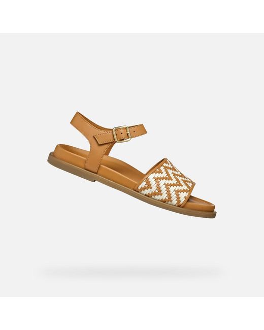 Geox Brown Adelash