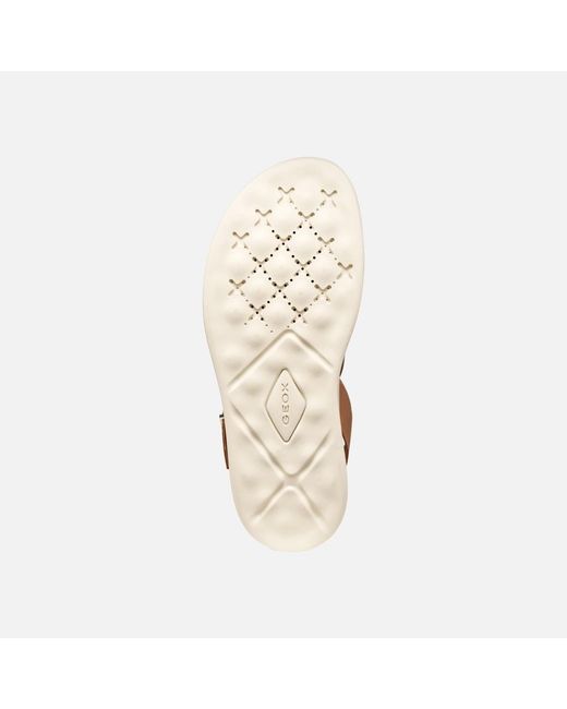 Geox Multicolor Xand 2S