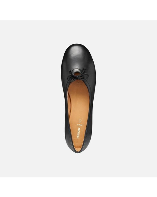 Geox Black New Palmaria
