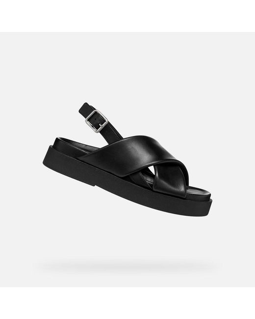 Geox Black Adelash H