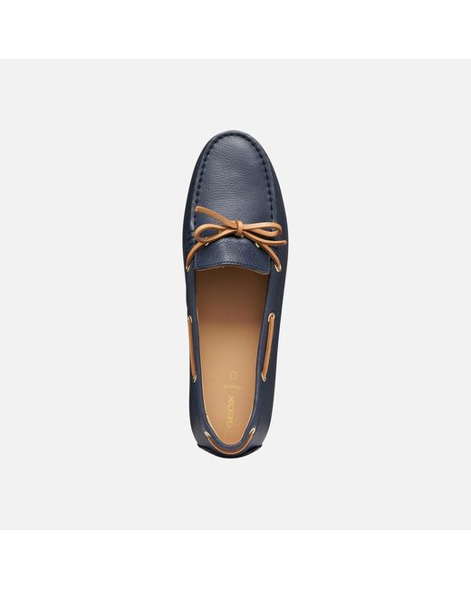 Geox Blue Kalistena