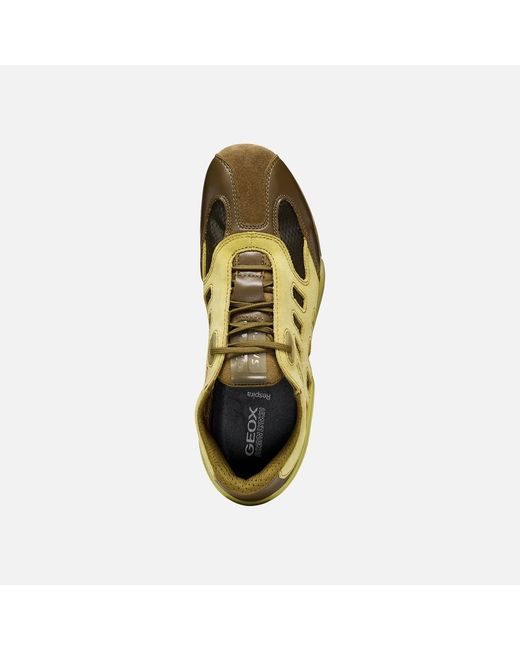 Geox Green Archive Snake