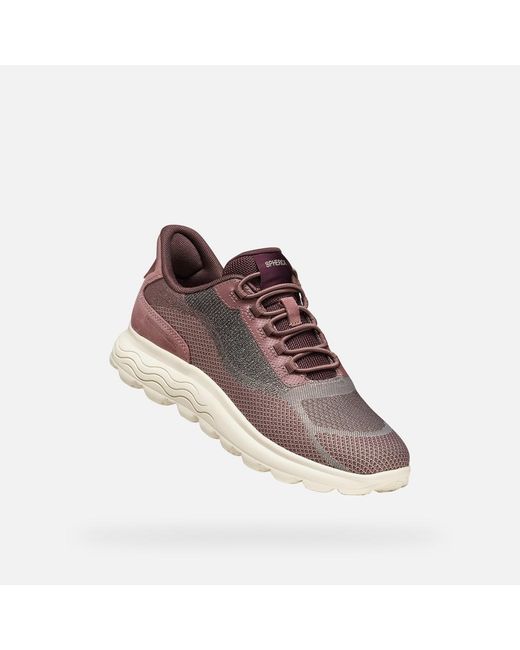 Geox Brown Spherica Plus