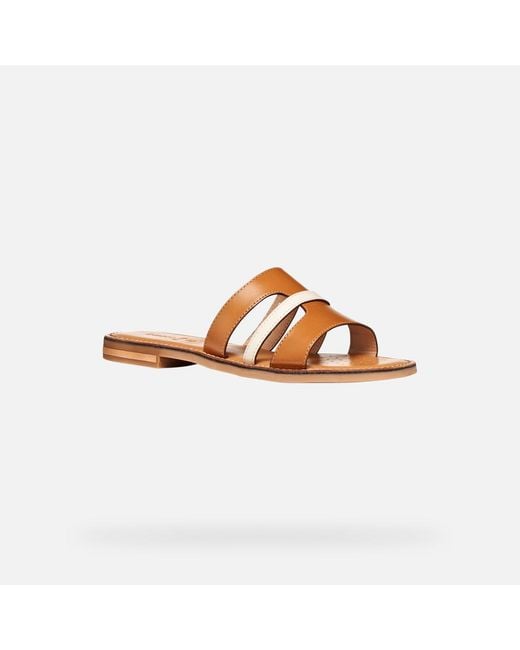 Geox Brown Maddalusia C Camel/Papyrus