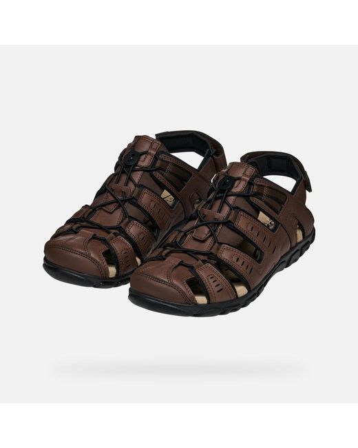 Geox Brown Strada for men