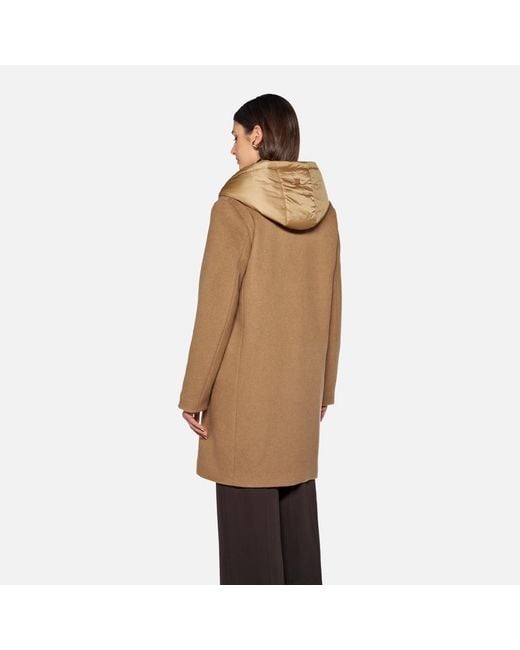 Geox Brown Rawelle