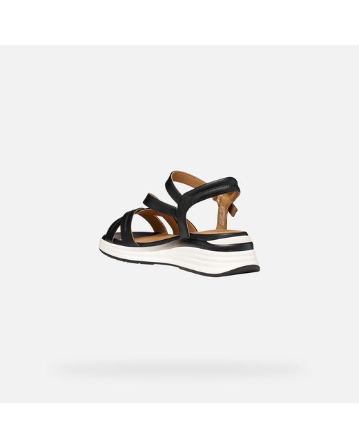 Geox Black Elowynne