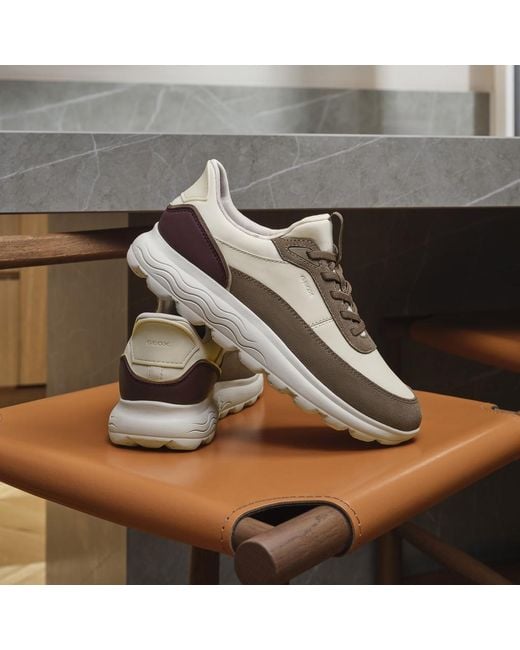 Geox Multicolor Spherica Plus Papyrus/Taupe