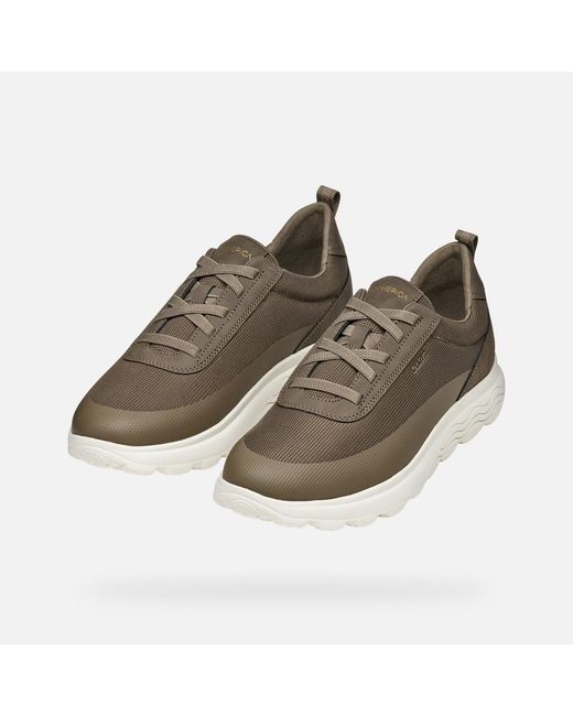 Geox Brown Spherica for men