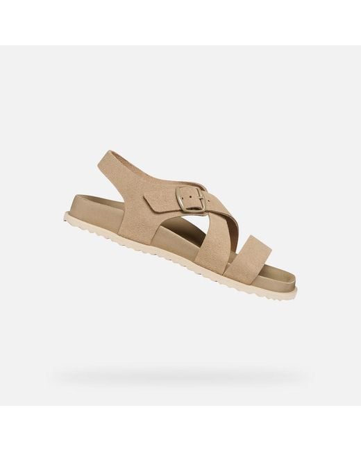 Geox Gray Sandybett