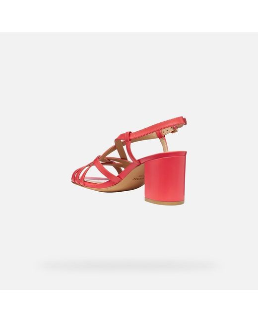 Geox Red Virnilisa 65 S