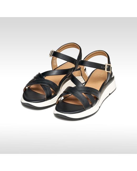 Geox Black Elowynne