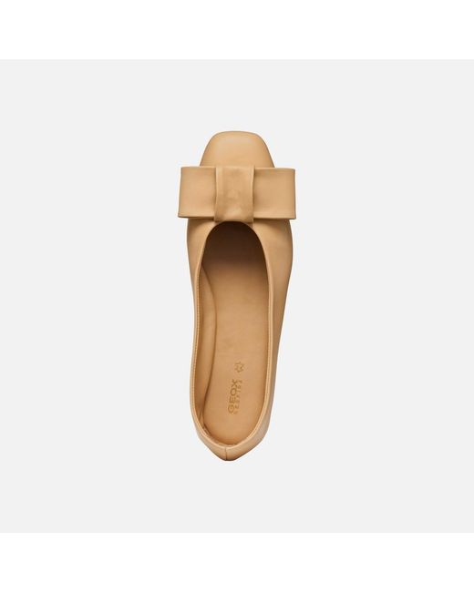 Geox Natural Ballystar