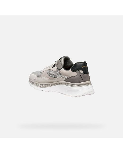 Geox Gray Spherica Actif X1 for men