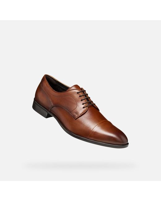 Geox Brown Thalos for men