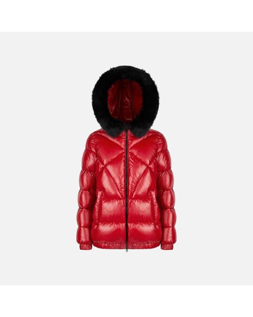 Geox Red Backsie