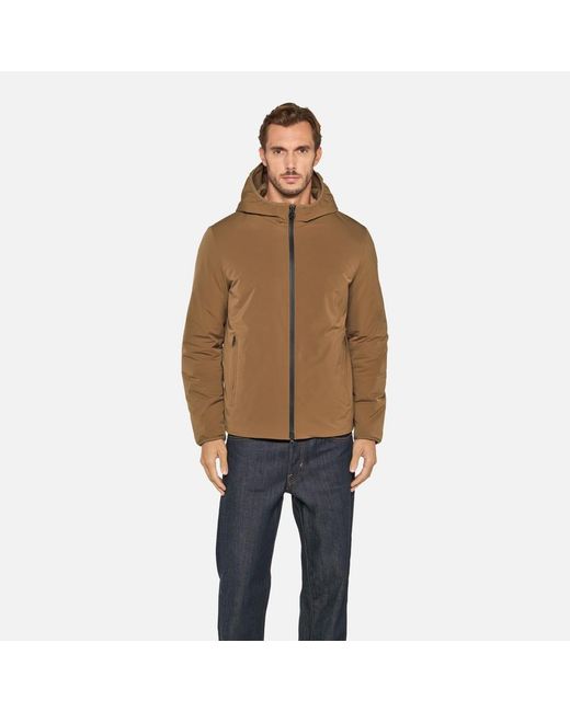 Geox Brown Spherica for men