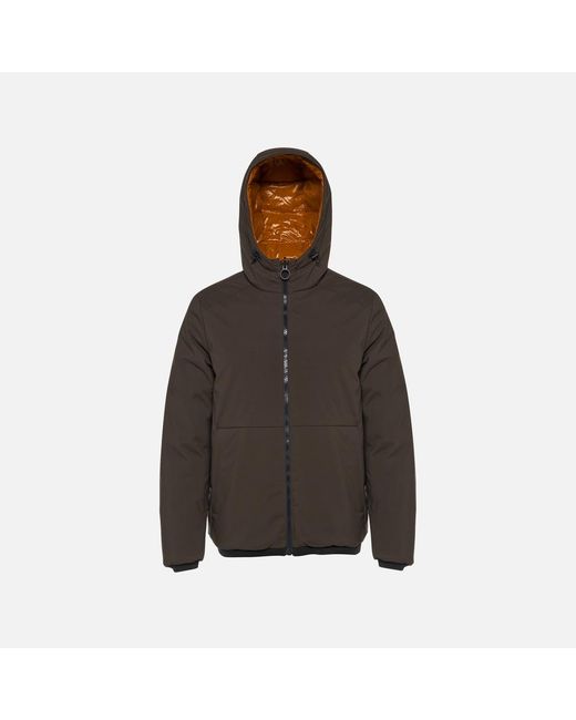 Geox Brown Spherica Pumpkin Spice/Coffee for men
