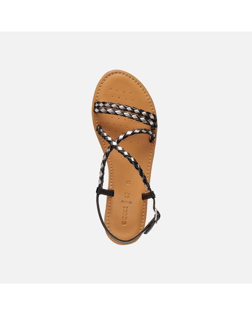 Geox Brown Sozy S
