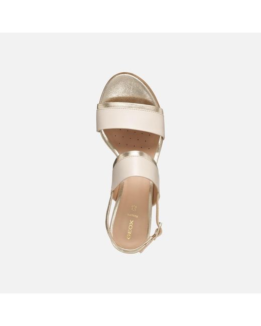 Geox White Aurely 50