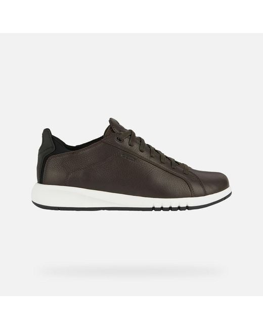 Geox Black Aerantis for men
