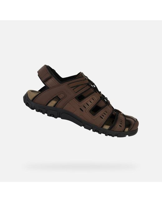 Geox Brown Strada for men