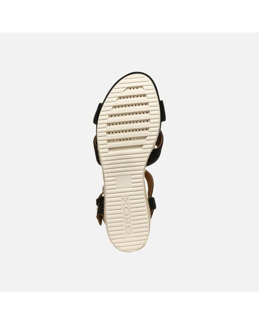 Geox Black Ischia Corda
