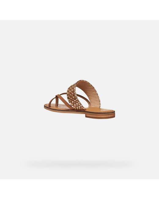 Geox Brown Maddalusia C