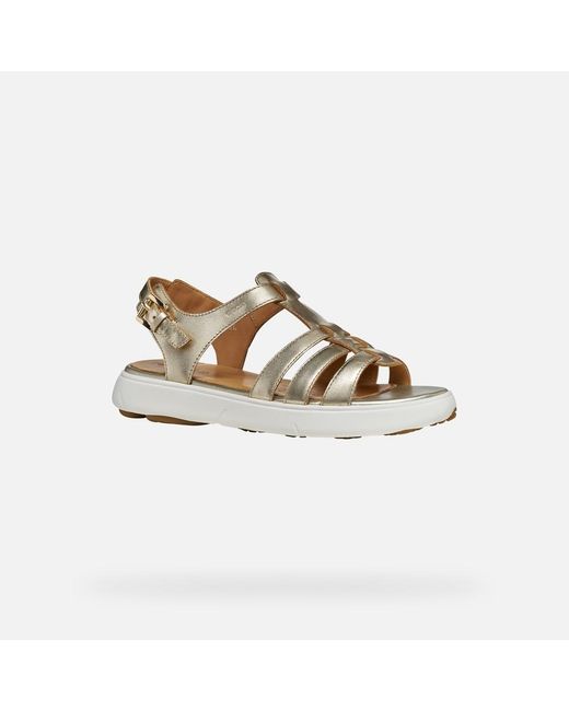 Geox Metallic Nebula 2.0 C S