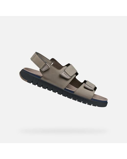 Geox Brown Flextride S for men