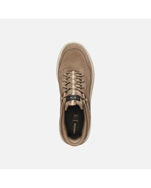 Geox Brown Spherica Plus