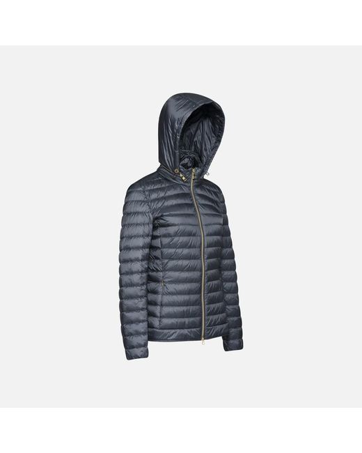 Geox Blue Jaysen