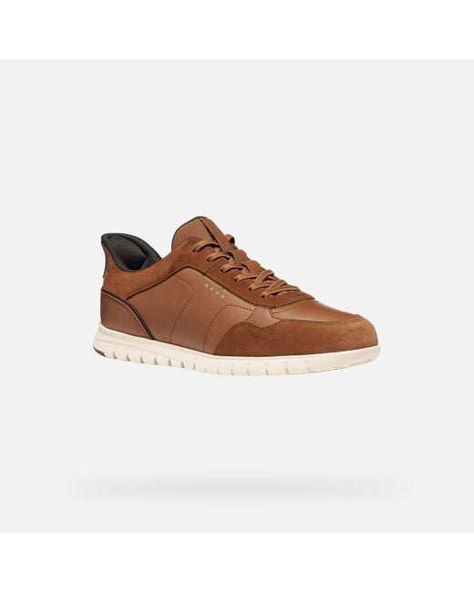 Geox Brown Flextridezero Plus for men