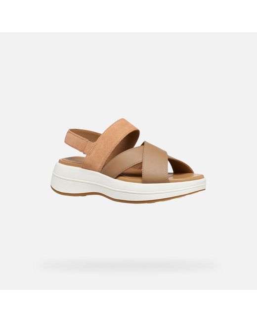 Geox Metallic Spherica Ecub-3 S