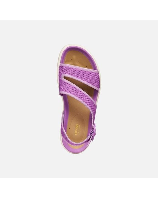 Geox Purple Climasandal Sprt