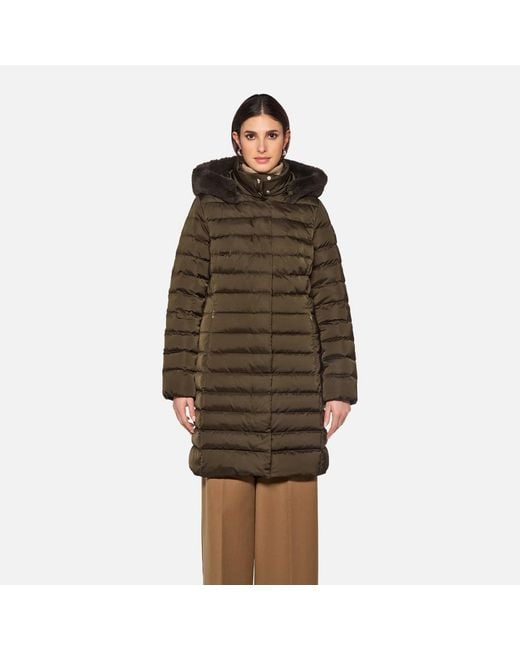 Geox Brown Bettanie