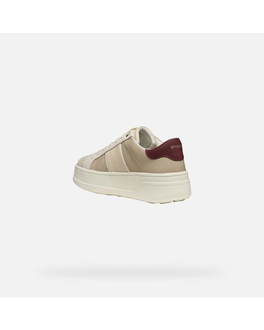 Scarpe Spherica Ecub-2 Donna di Geox in Natural