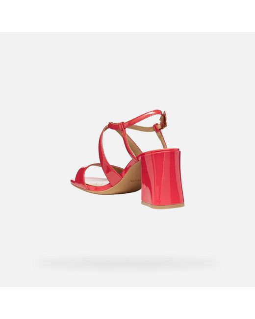 Geox Red New Eraklia 80 T01