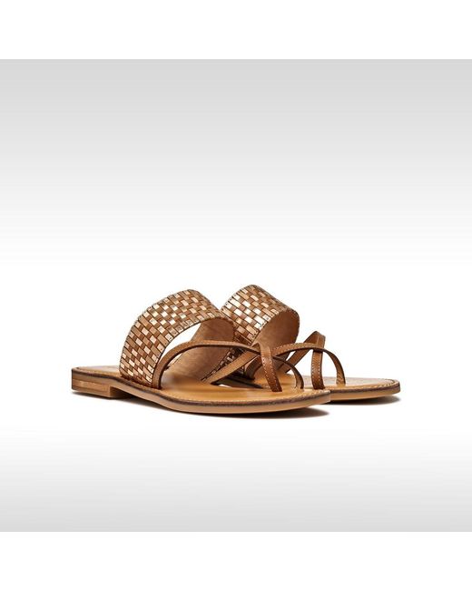 Geox Brown Maddalusia C