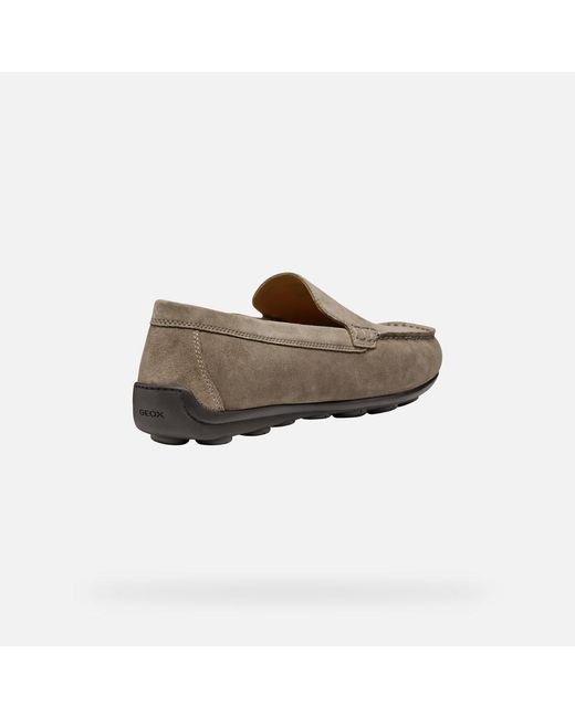 Geox Gray Spherica Ec16 for men