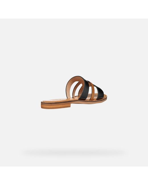 Geox Brown Maddalusia C
