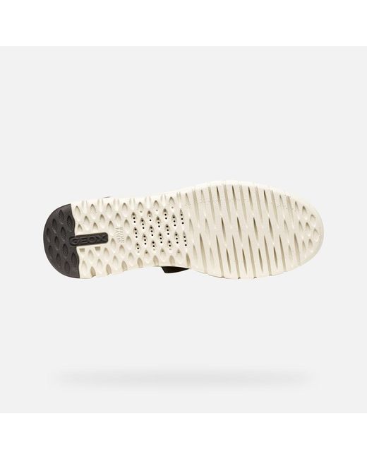 Geox Flextride Plus Herr in Brown für Herren