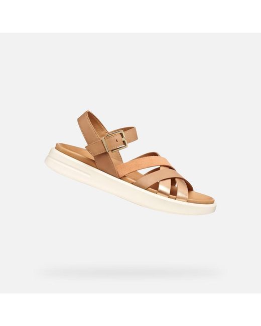 Geox Multicolor Xand 2S