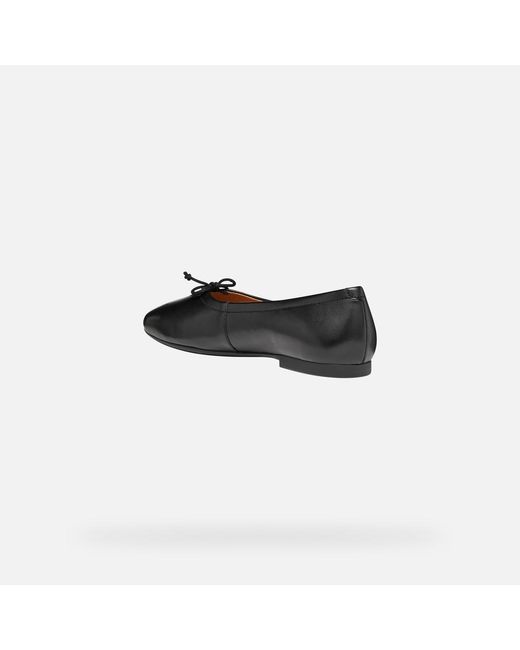 Geox Black New Palmaria