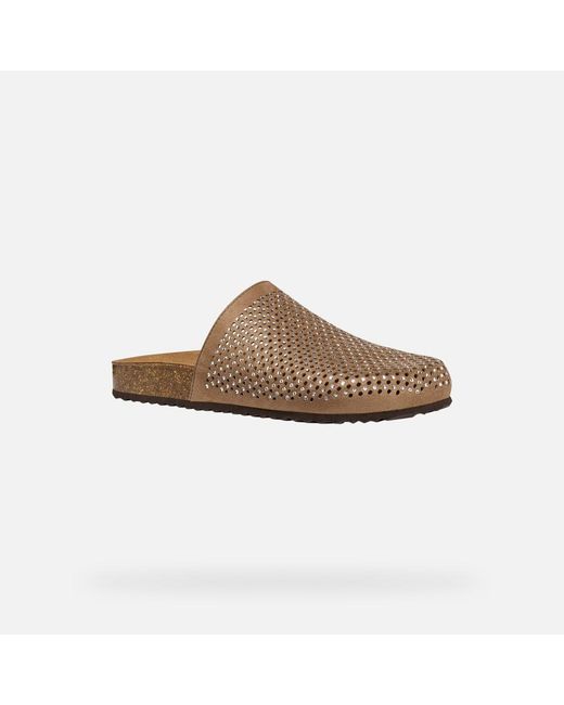 Geox Brown Brionia R