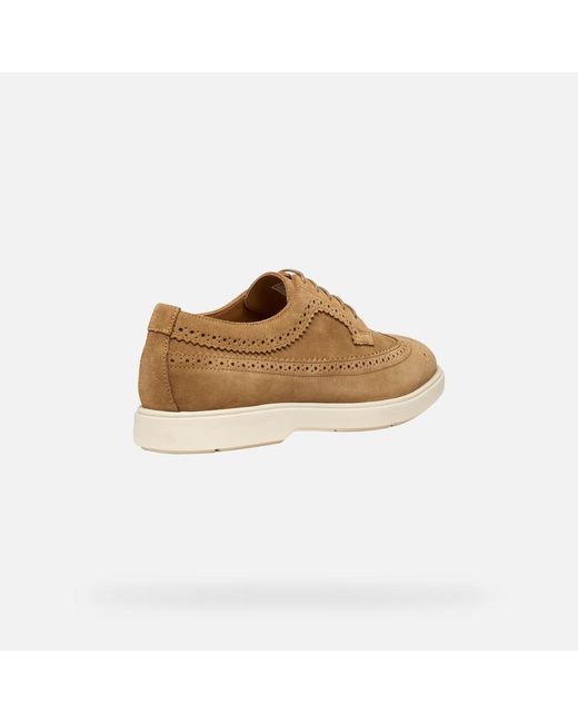 Geox Brown Spherica Ec17 for men