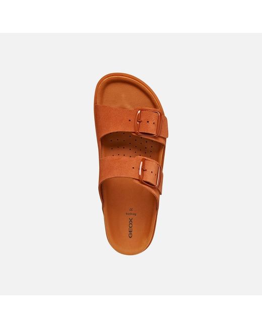 Geox Brown Sandybett