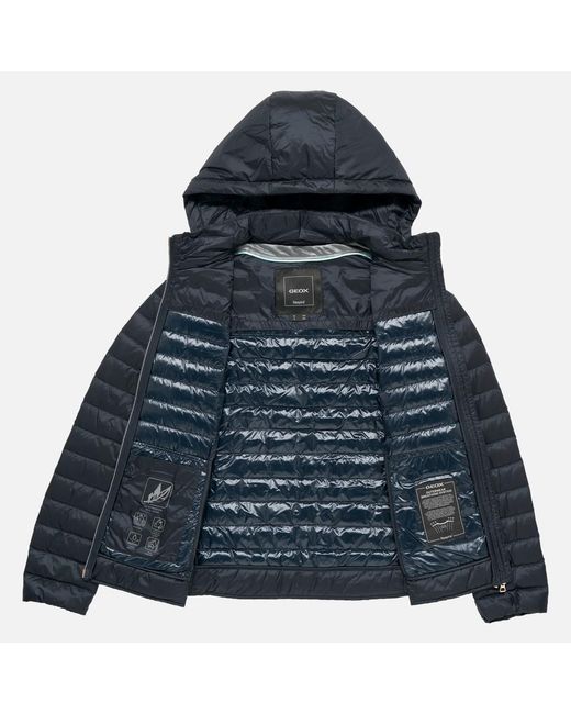 Geox Blue Jaysen